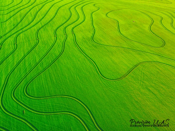 Carlisle, AR | Arkansas Rice Field by Provision UAS